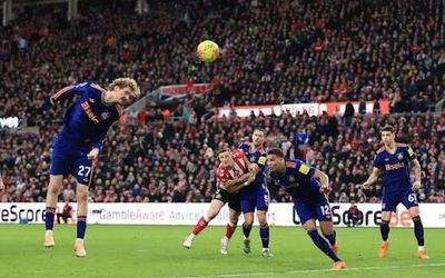 ببینید/ یک گل به خودی زیبا و کم نظیر!