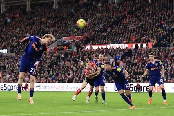 ببینید/ یک گل به خودی زیبا و کم نظیر!